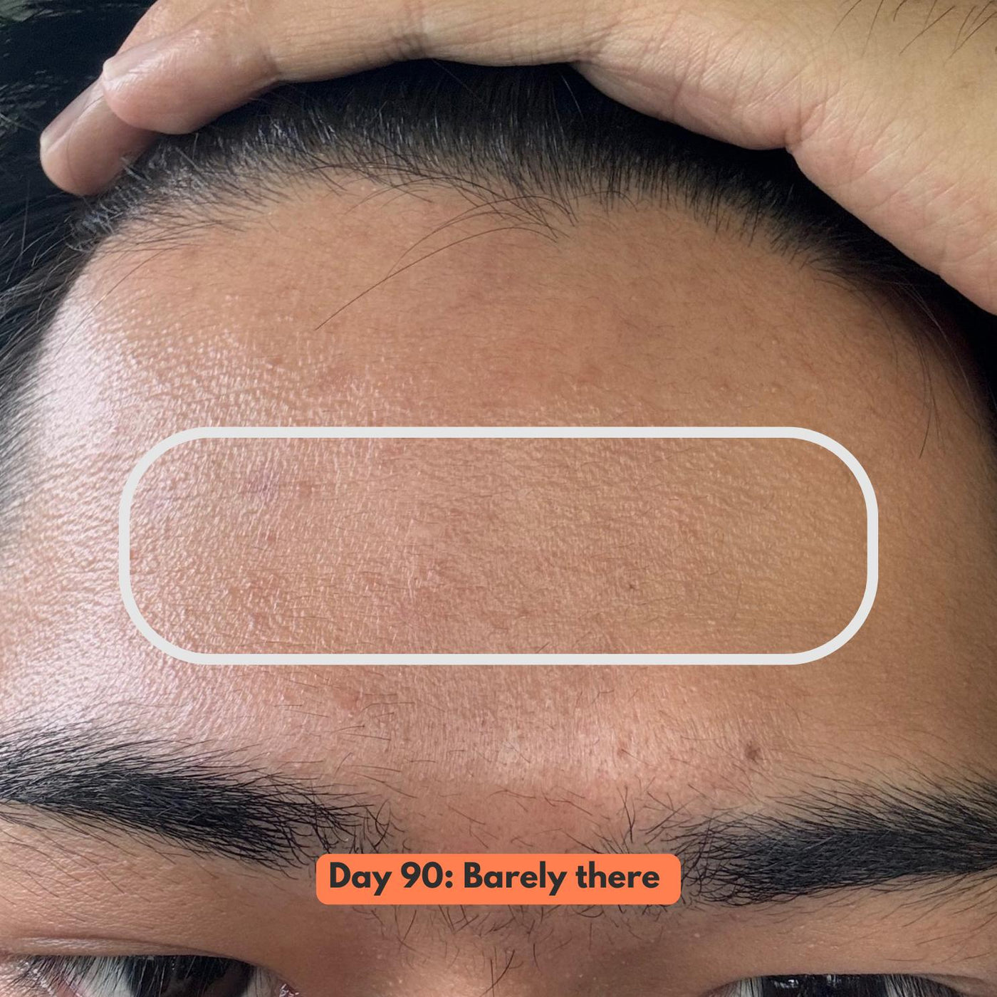 Multi-Purpose Face Solution v2